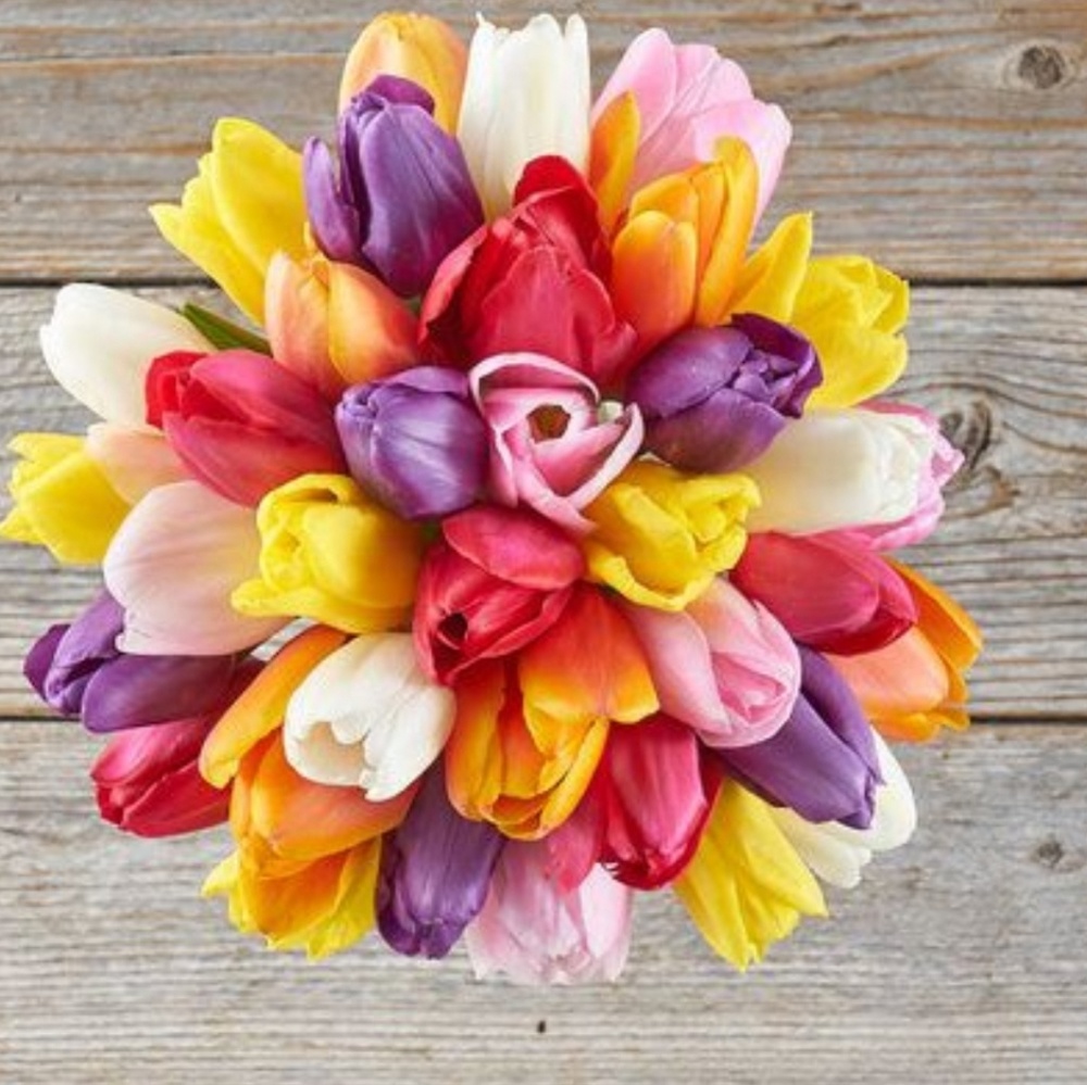 Meet your Posher, Ashlee